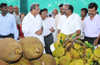 Jackfruit festival held to study market potential